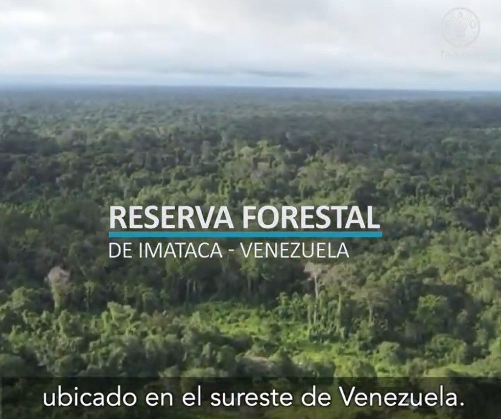 RESERVA FORESTAL DE IMATACA - VENEZUELA