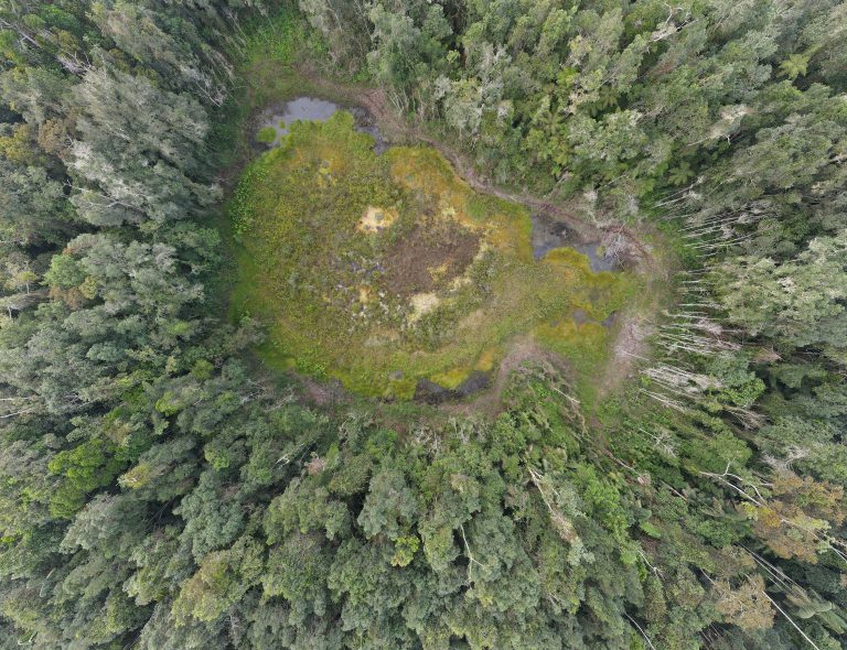 Nota de prensa | Proyecto Manejo Sustentable del Paisaje Andino inicia restauración de la Laguna La Estrella en Mérida.